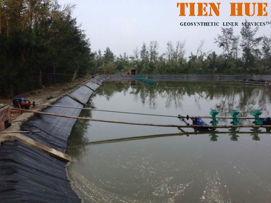bat-hpde-trong-nuoi-tom (1)bat-hpde-trong-nuoi-tom (1)