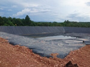 Màng chống thấm HDPE trong nông nghiệp đáng để quan tâm trong bối cảnh công nghệ cao xuất hiện