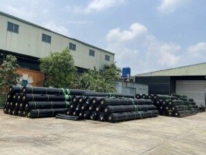Ảnh màng chố