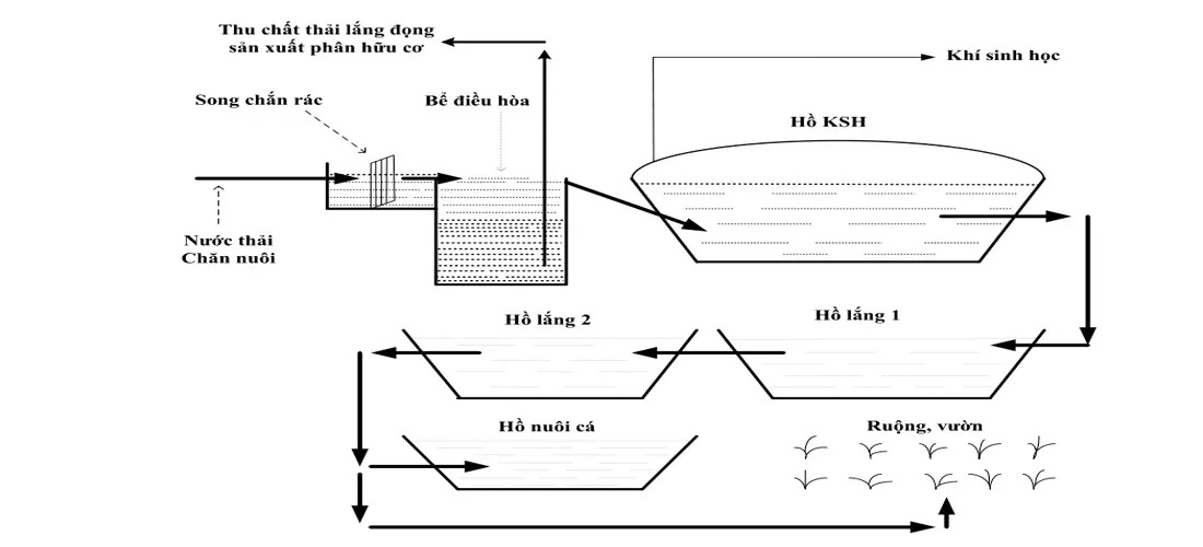 Mô hình thiết kế hầm biogas HDPE