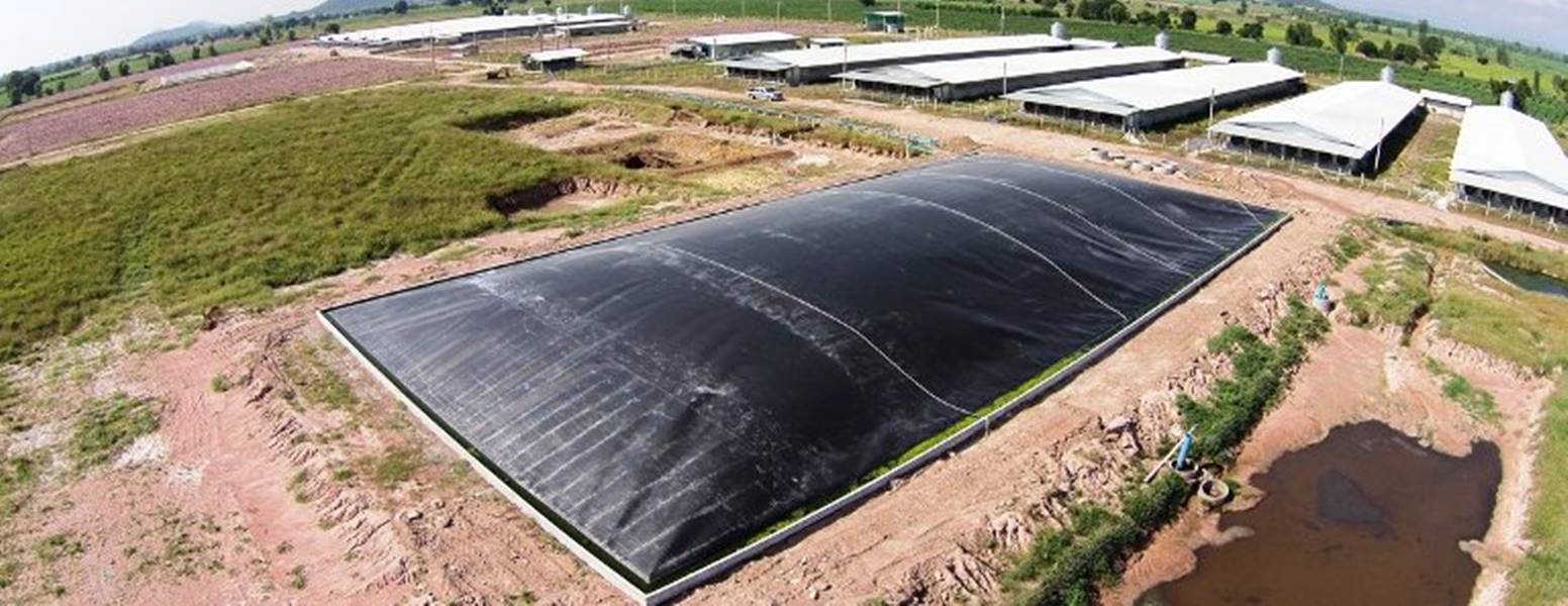 Hầm biogas phủ bạt HDPE được ưa chuộng trong lĩnh vực nông nghiệp