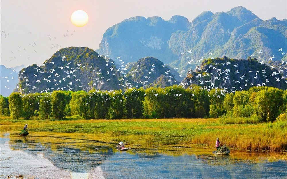 Sự thay đổi của hệ sinh thái đất có thể diễn ra trong thời gian dài nên việc có những biện pháp kịp thời cũng có thể khắc phục được