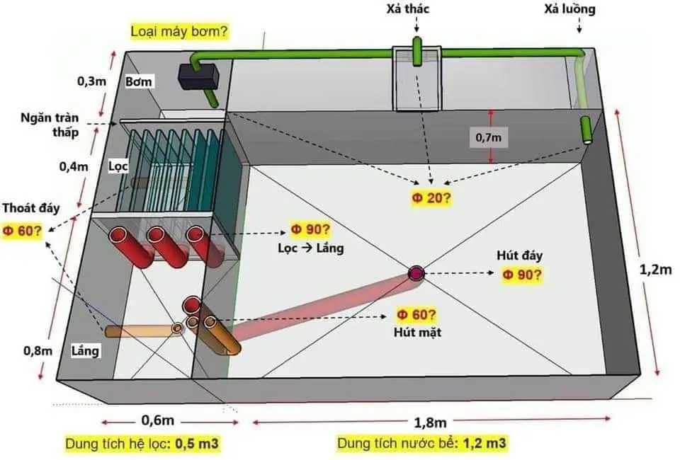 Một ví dụ về cấu tạo cơ bản của một hồ cá Koi được lắp đặt với độ kỹ thuật cao
