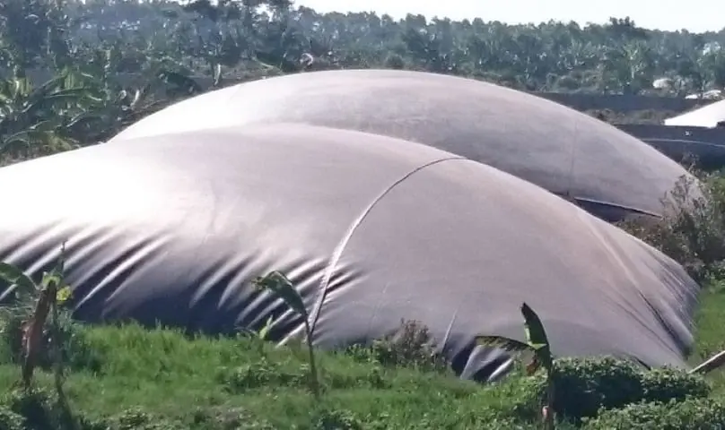 Màng HDPE trong hầm trú ẩn