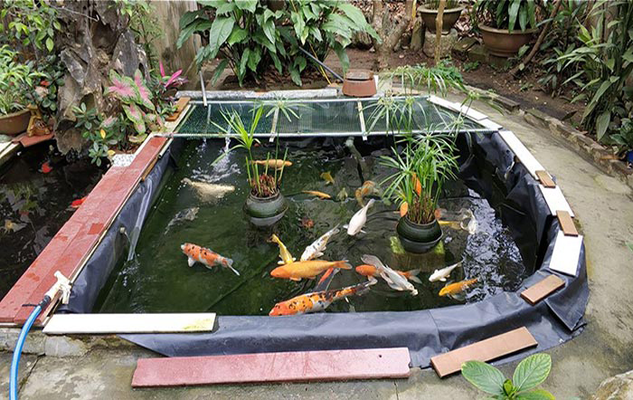 Việc sử dụng màng HDPE làm bạt lót hồ mang đến rất nhiều lợi ích mà chúng tôi đã đề cập trong các bài viết trước