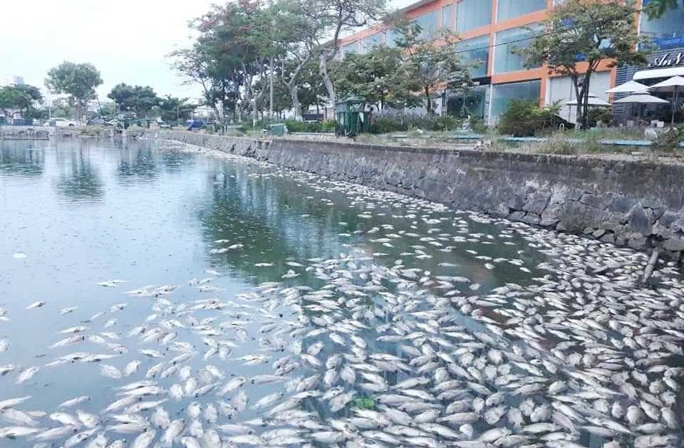 Ô nhiễm nguồn nước do nuôi trồng thủy sản không đúng cách và bị lây nhiễm bệnh trong môi trường thủy sinh