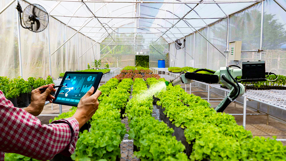 Ứng dụng màng HDPE và công nghệ IoT vào trang trại thông minh