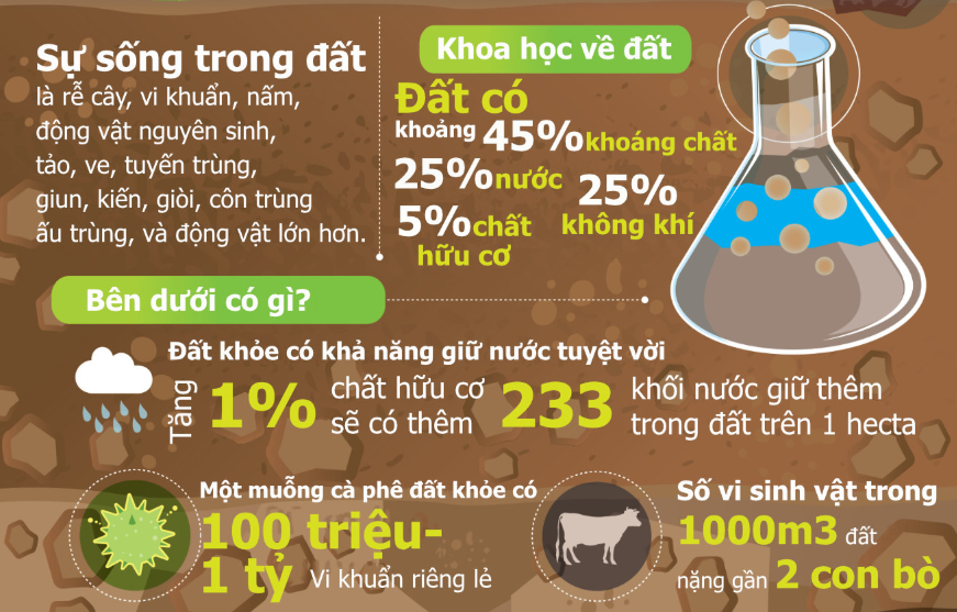 Hệ sinh vật trong đất đóng vai trò quan trọng và thiết yếu cho con người nói chung và các ngành nông nghiệp nói riêng