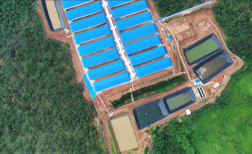 Từ nông nghiệp đến công nghiệp mô hình này đã đem lại hiệu quả rất lớn trong thực tế