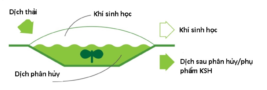 Mô hình nguyên lý hoạt động của màng HDPE trong hệ thống bẫy khí sinh học