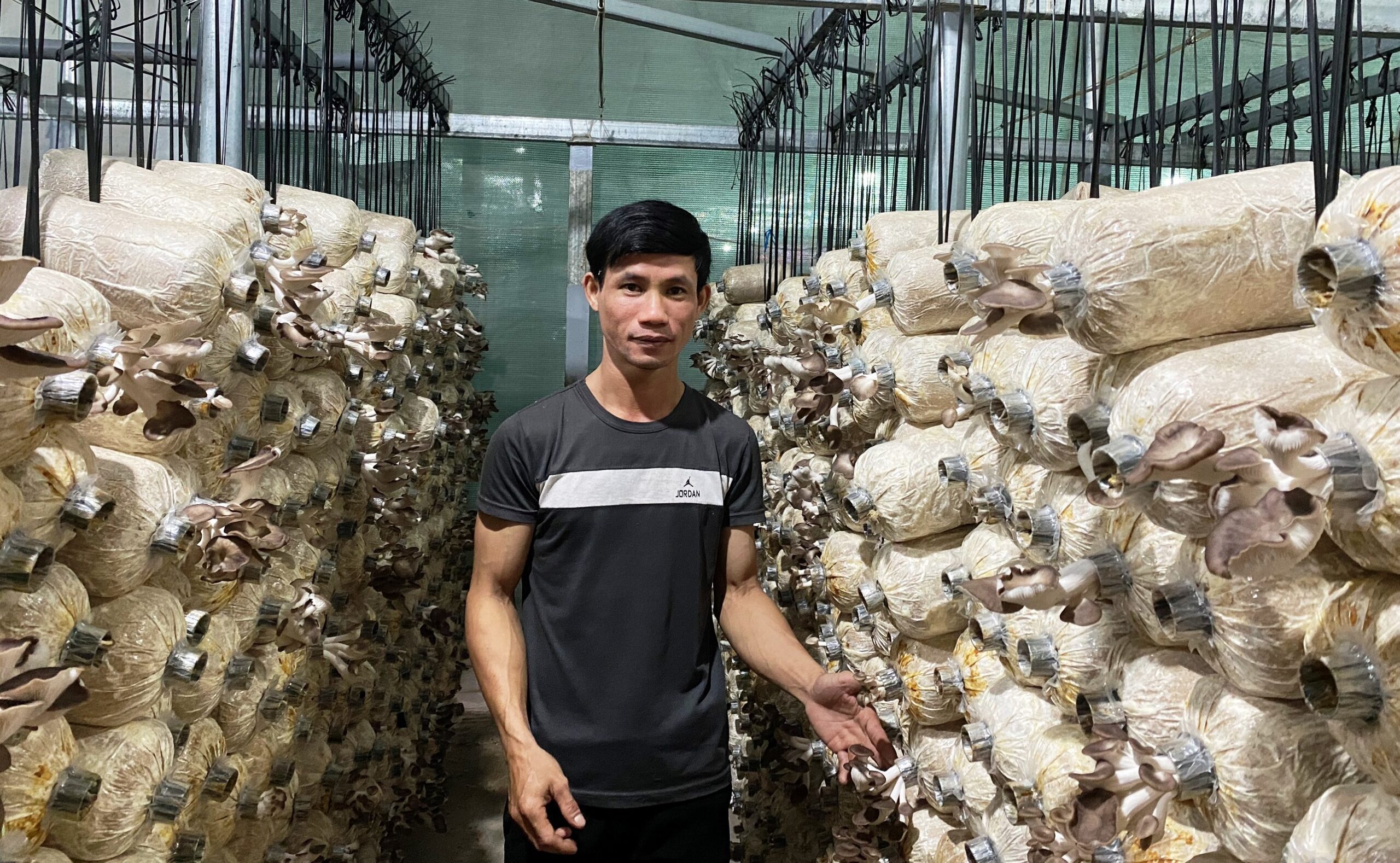 Không chỉ riêng ở các khu công nghiệp mà mô hình trồng nấm vẫn được các hộ gia đình lựa chọn làm nguồn thu nhập chính