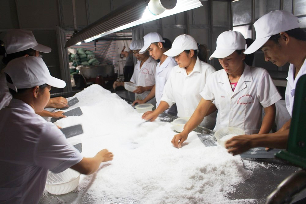 Muối là nguyên liệu thiết yếu trong đời sống, công nghiệp chế biến thực phẩm, dược phẩm