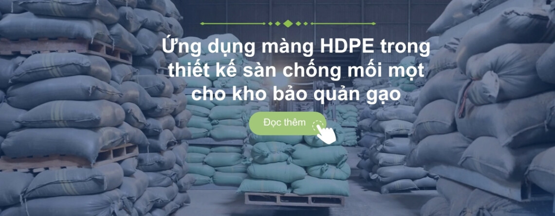thi công màng hdpe trong thiết kế thi công chống mối mọt gạo